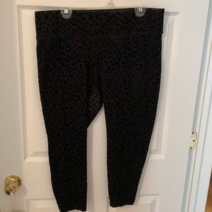 Torrid black leopard pixie pants